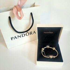 Pandora Sterling Silver Charm Bracelet NWOT